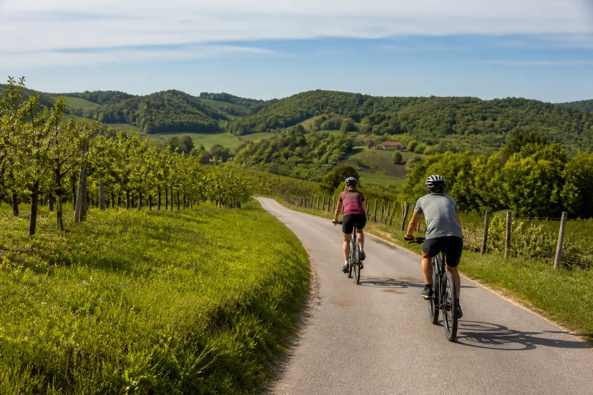 Recreational cyclists on a quiet road through hills near Zagreb